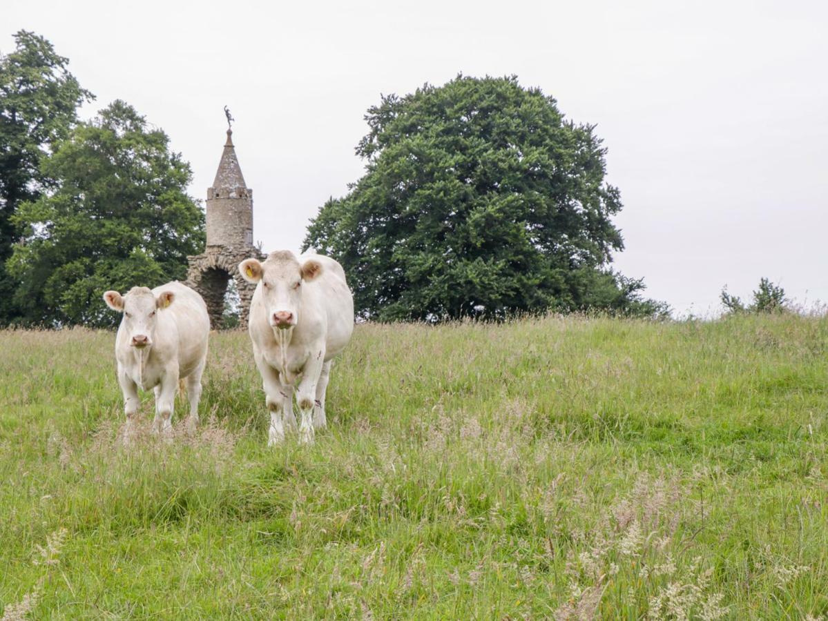 ヨービル The Milking Barnヴィラ エクステリア 写真